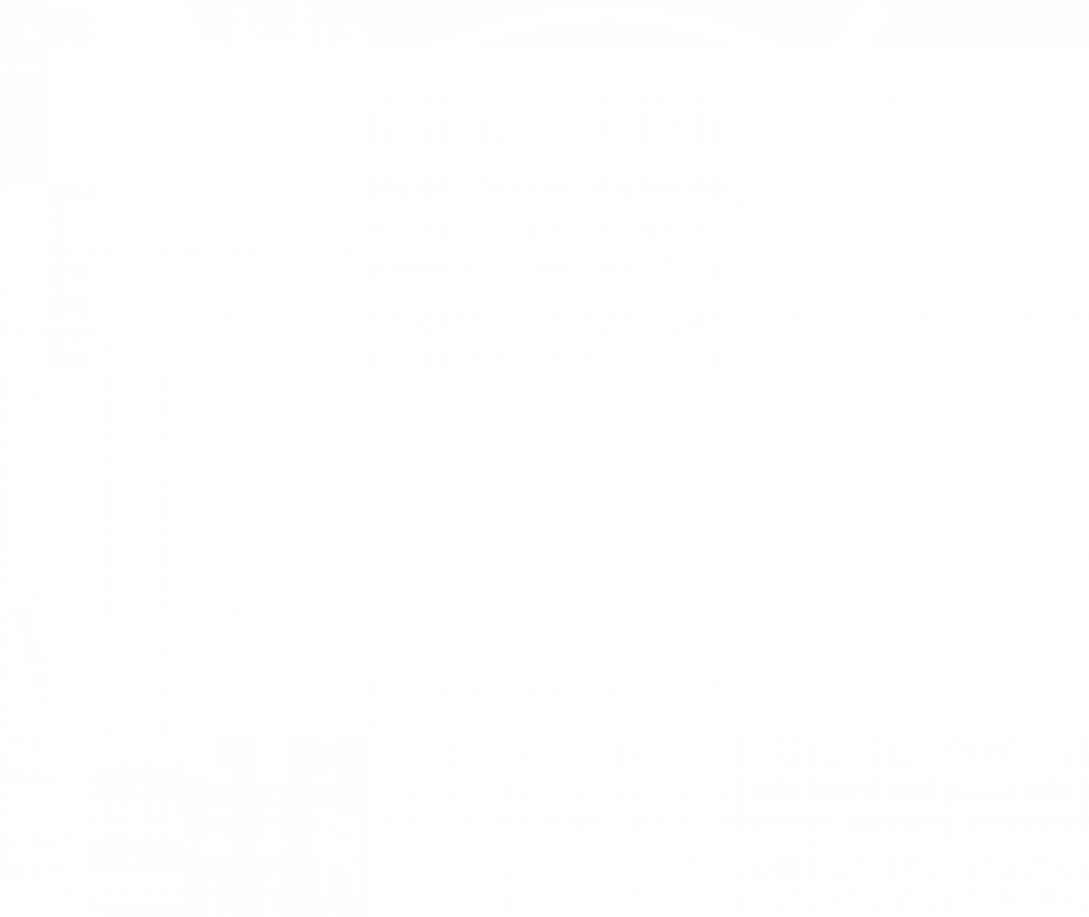 logo blanc viminio recherche et analyse2x